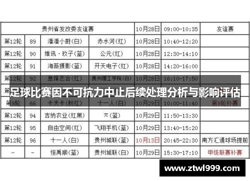 足球比赛因不可抗力中止后续处理分析与影响评估